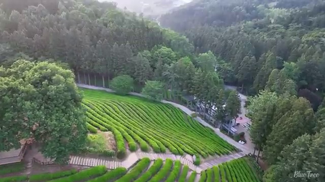  콘크리트산업기사 시험자격 온라인 수업으로 5개월 만에 완료한 전략