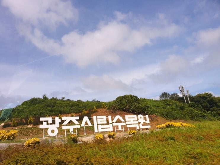  광주 여행 | 광주시립수목원 주말 방문 후기