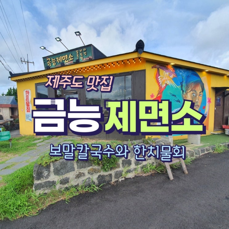  제주 금능맛집 금능제면소 (보말칼국수, 한치물회)