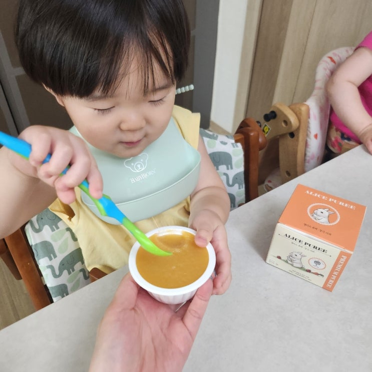  [아기퓨레추천] 첨가물 zero! 국내산 과일만 사용한 맛있는 퓨레, 앨리스 퓨레