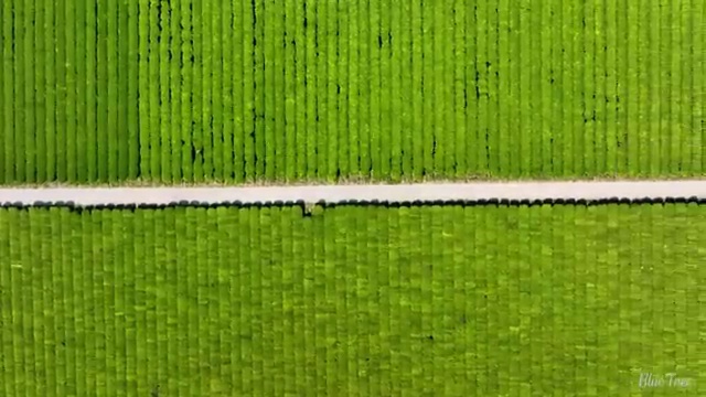  춘천 사회복지사2급학점 ~ 사회복지사2급 고졸자도 학점은행제 활용하여 간단하게