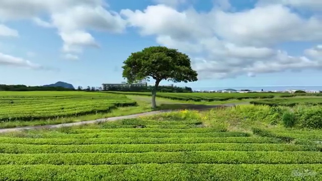  수산물품질관리사 자격증 , 취득한 방법