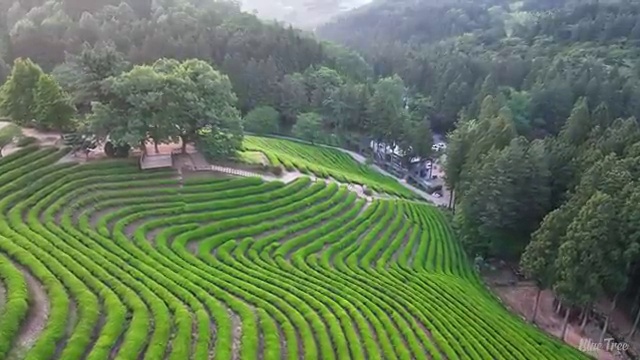  시각디자인기사 필기공부 시각디자인기사 시험응시자격 온라인 과정으로 5개월 만에 완료한 과정