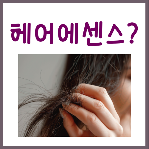  헤어에센스 바르는 순서, 딱 '3단계'만 기억하시면 끝입니다