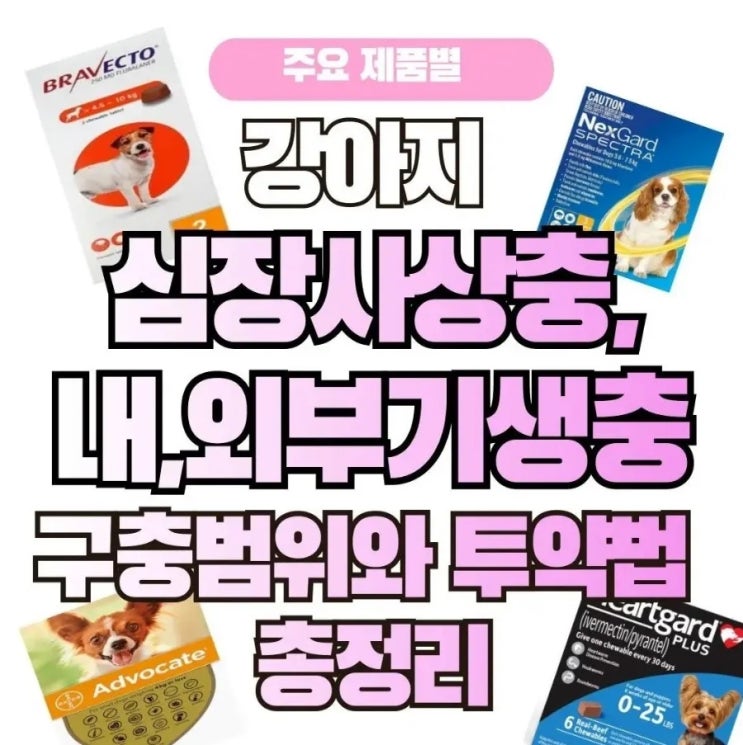  주요 제품별 강아지 심장사상충, 내외부기생충 구충범위와 투약법 총정리
