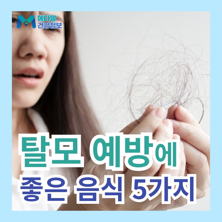  탈모예방에 좋은 음식 5가지 두피 건강에 도움이 되는 음식 탈모방지