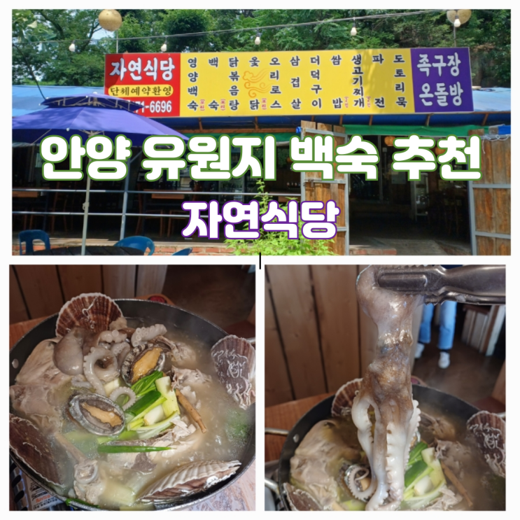 안양유원지 맛집 자연식당 영양백숙 안양예술공원 복날음식 추천 안양유원지 맛집 자연식당 영양백숙 안양예술공원 복날음식 추천