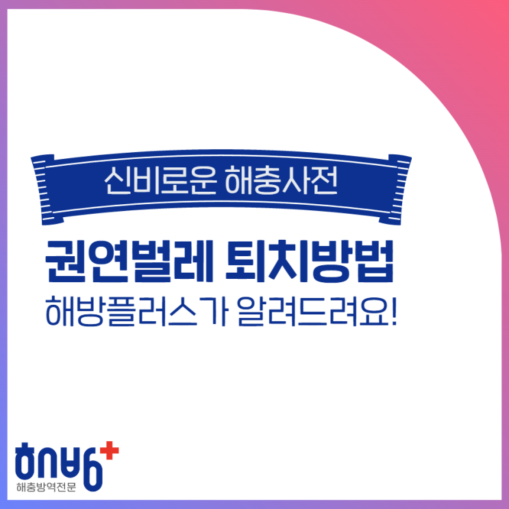  권연벌레를 어떻게 퇴치하는게 좋을까요?
