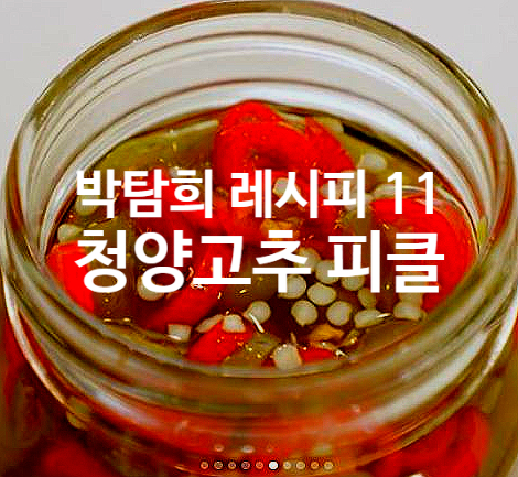  박탐희 레시피 11 청양고추 피클