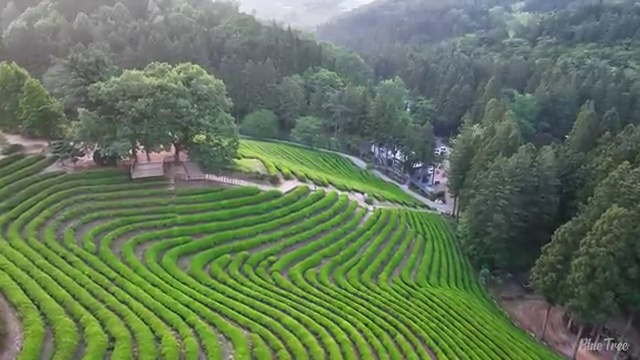  사회복지학편입 , 사회복지사 경력없어도 온라인 수업으로 쉽고 빠르게