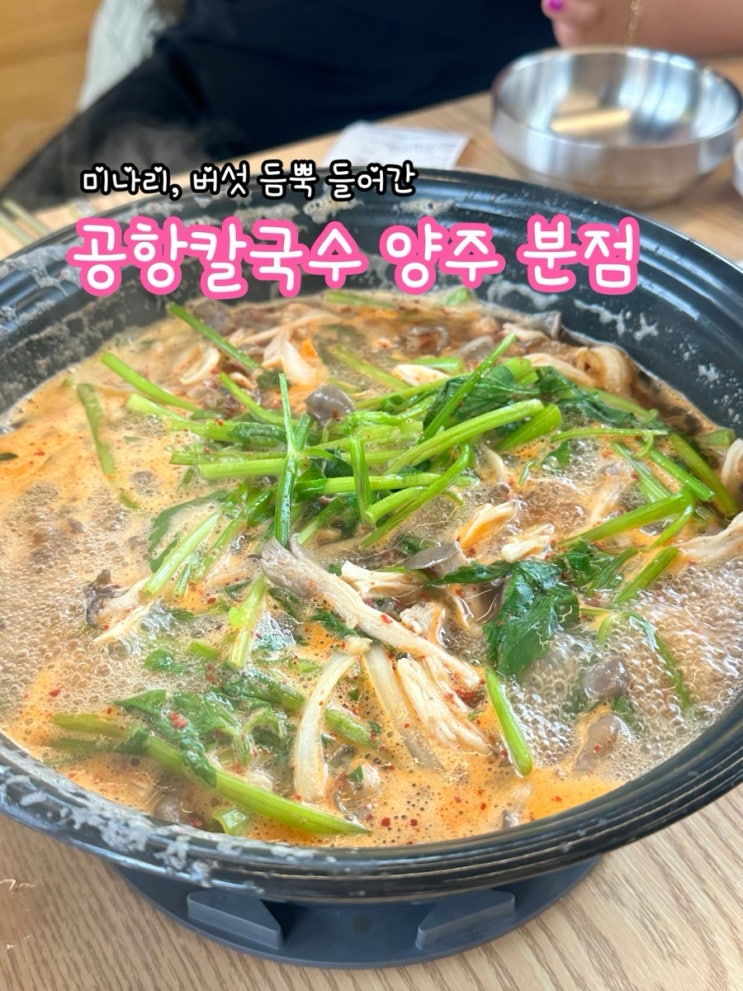  양주 공항칼국수_버섯, 미나리 듬뿍 들어간 양주 칼국수 맛집