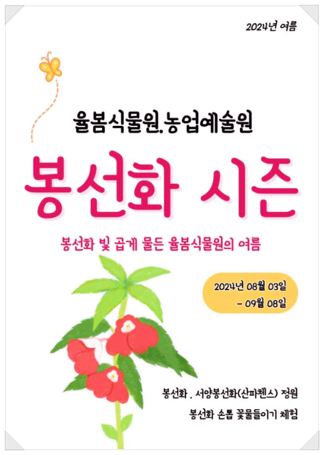  경기도 광주 꽃축제 아이랑가볼만한곳 율봄식물원 봉선화 시즌