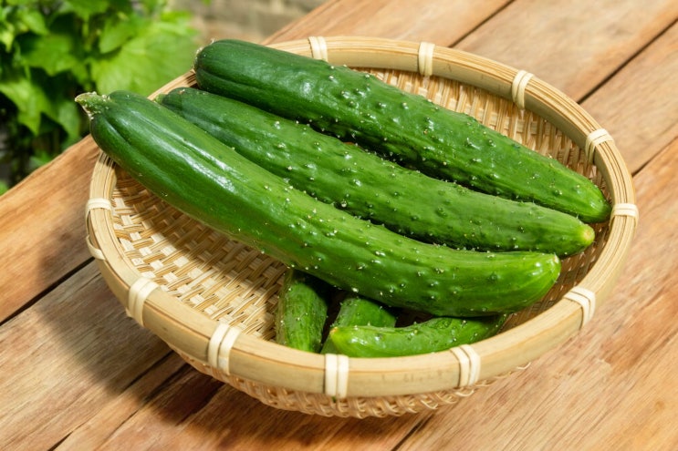  오이 1개 칼로리: 다이어트의 비밀