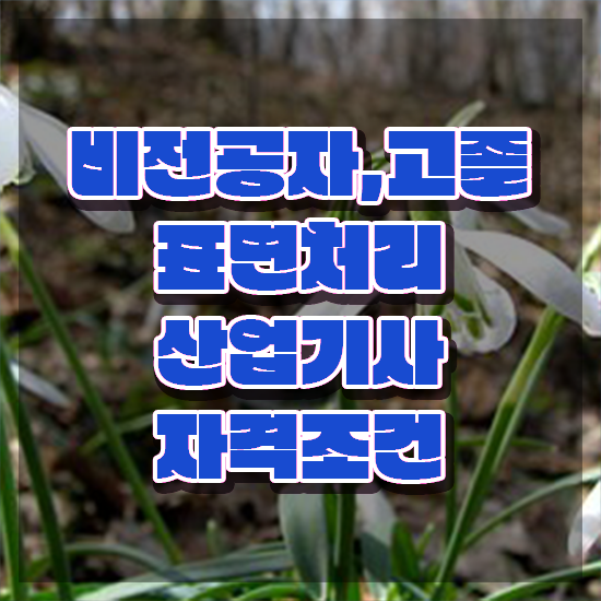  표면처리산업기사 합격 표면처리산업기사 시험응시조건 인강으로 4개월 만에 완료한 노하우