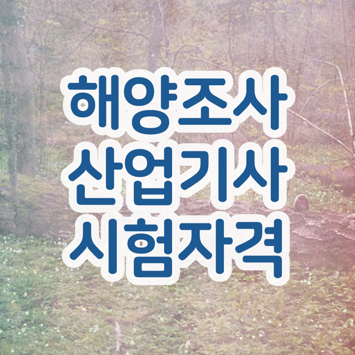  해양조사산업기사 시험응시자격 인강만 듣고 4달 안에 성공한 후기