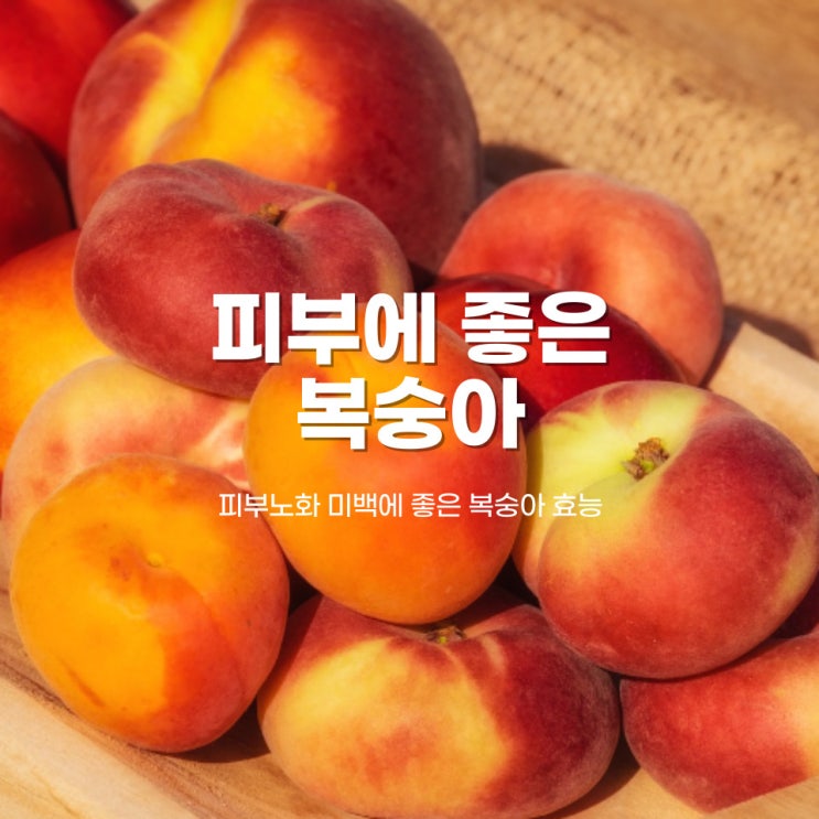 피부에 좋은 복숭아 효능 효과 맛있게 먹는 법