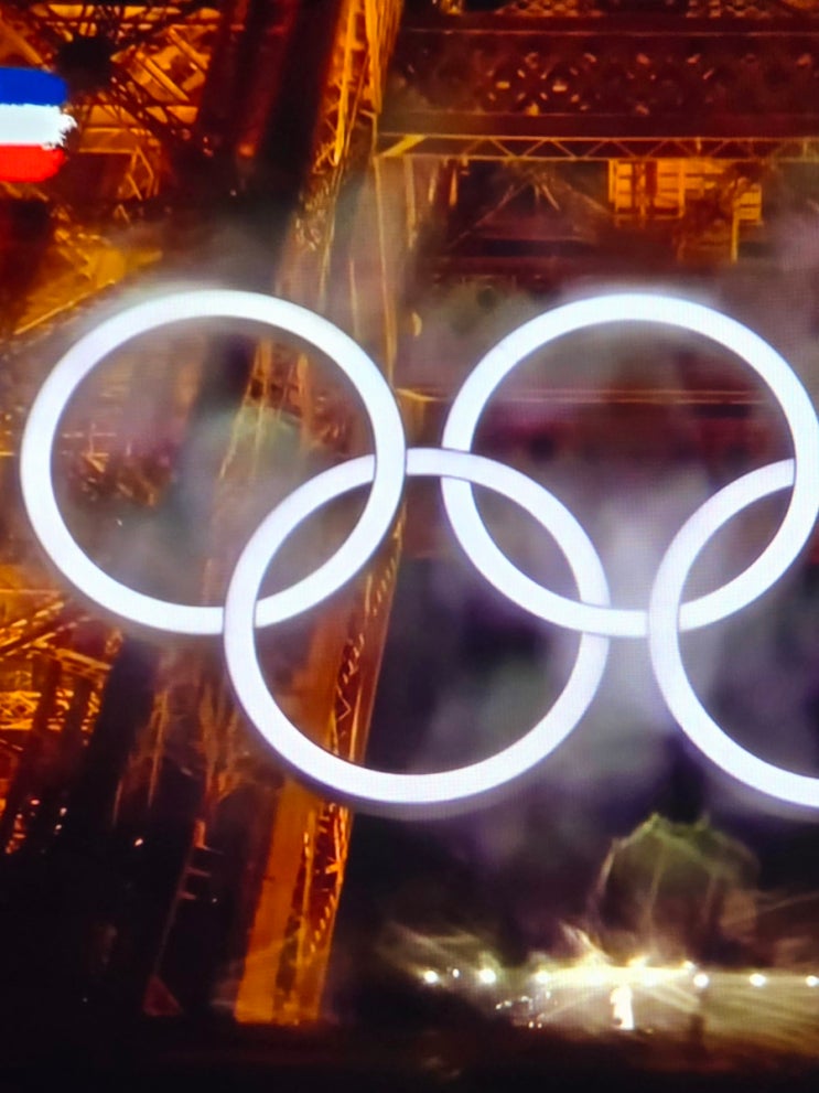  2024 파리올림픽 셀린 디온 공연을 보기에 최적화되어 있는 오피스텔 작은 영화관 소개