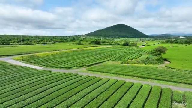  제빵산업기사 응시자격 인강만 듣고 15주만에 끝낸 과정