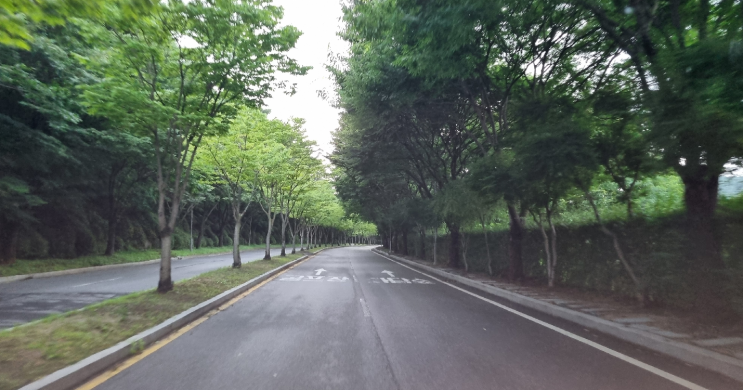 서울 근교 리조트 경기도 광주 곤지암 리조트 셀프 체크인 체크아웃 숙박 후기 4인 가족 8월 행사표 곤지암 리조트 앱 사용 방법 임직원 혜택 LG계열 쿠폰 할인 객실 안내 디지털 서울 근교 리조트 경기도 광주 곤지암 리조트 셀프 체크인 체크아웃 숙박 후기 4인 가족 8월 행사표 곤지암 리조트 앱 사용 방법 임직원 혜택 LG계열 쿠폰 할인 객실 안내 디지털