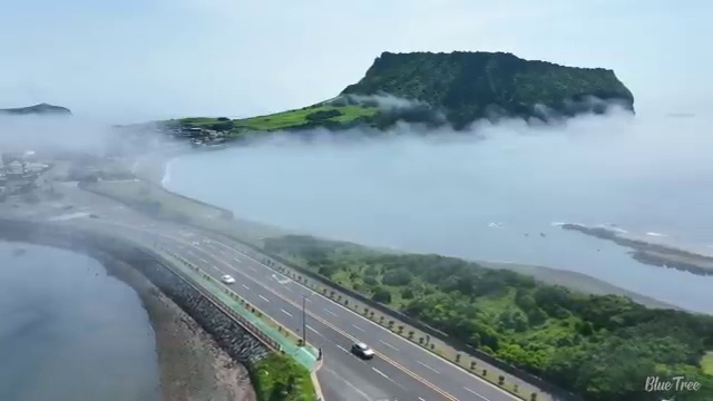  경영학 강의 , 학점은행제 직장과 병행하며 손쉽게 완료한 팁