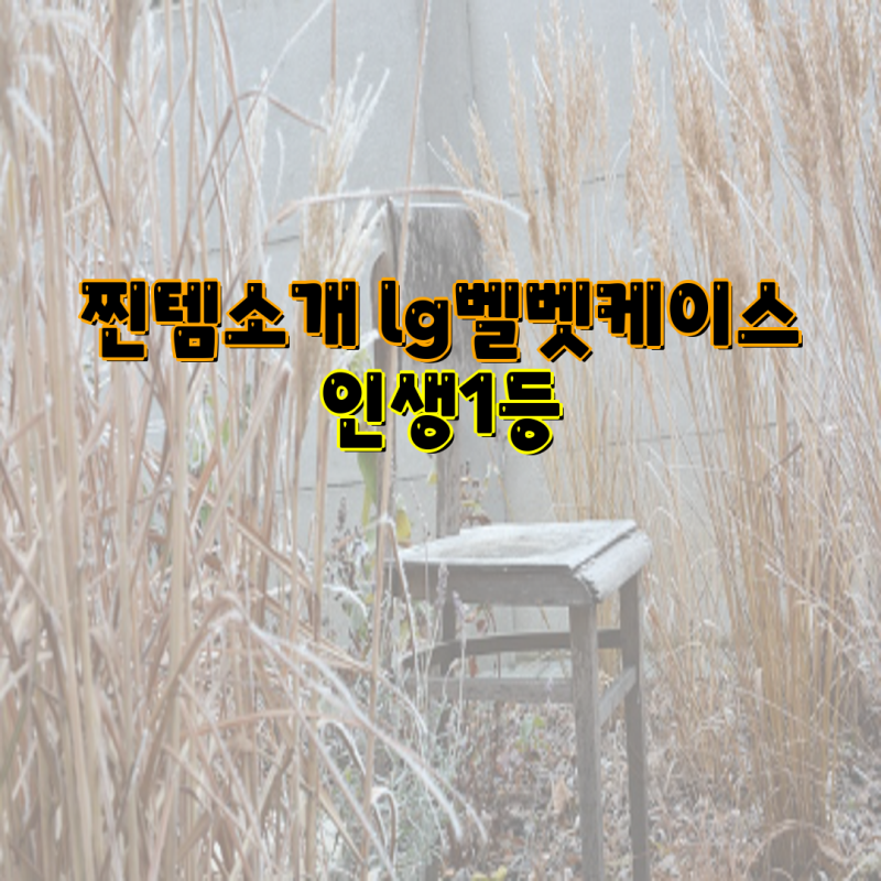 LG 벨벳 케이스 필수템 소개! 인생 1등 투명 젤리 케이스 완벽 가이드 | LG전자, G900, 방탄케이....