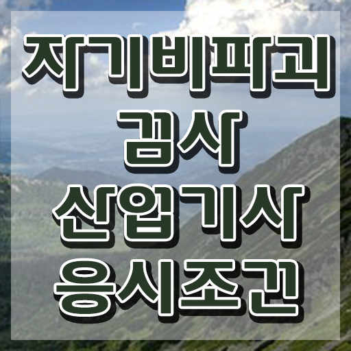  자기비파괴검사산업기사 응시자격 온라인 수업으로 4달 안에 준비한 전략