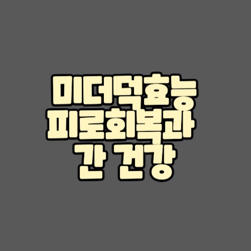  미더덕효능, 피로회복과 간 건강에 탁월한 선택