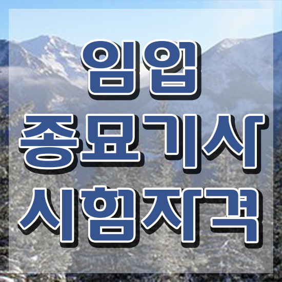  임업종묘기사 시험응시조건 온라인으로 4달만에 끝낸 방법