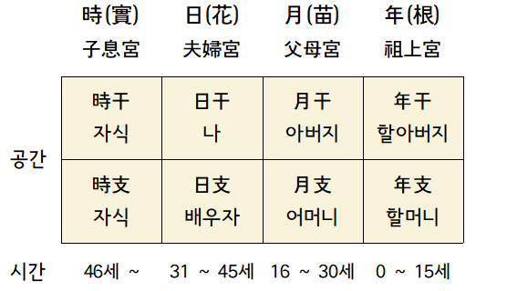  사주(四柱)의 시간과 공간  근묘화실(根苗花實)