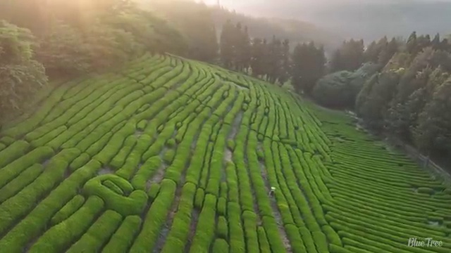  수산물 품질관리사 자격증 , 합격 후기