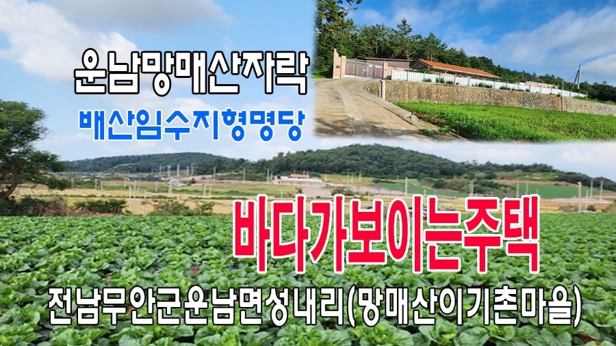 망매산 사진 1
