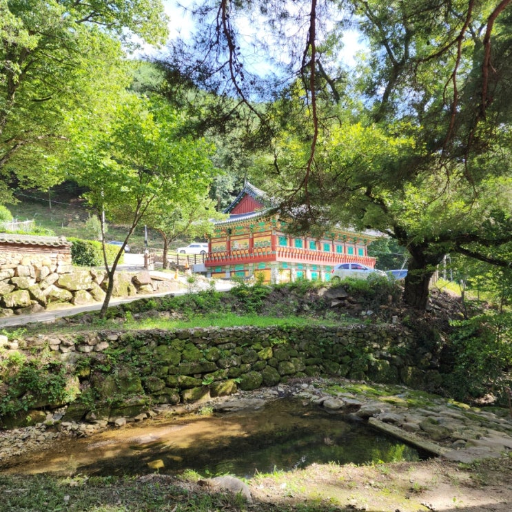  대구 가볼 만한 곳, 시원한 계곡과 함께있는 용연사