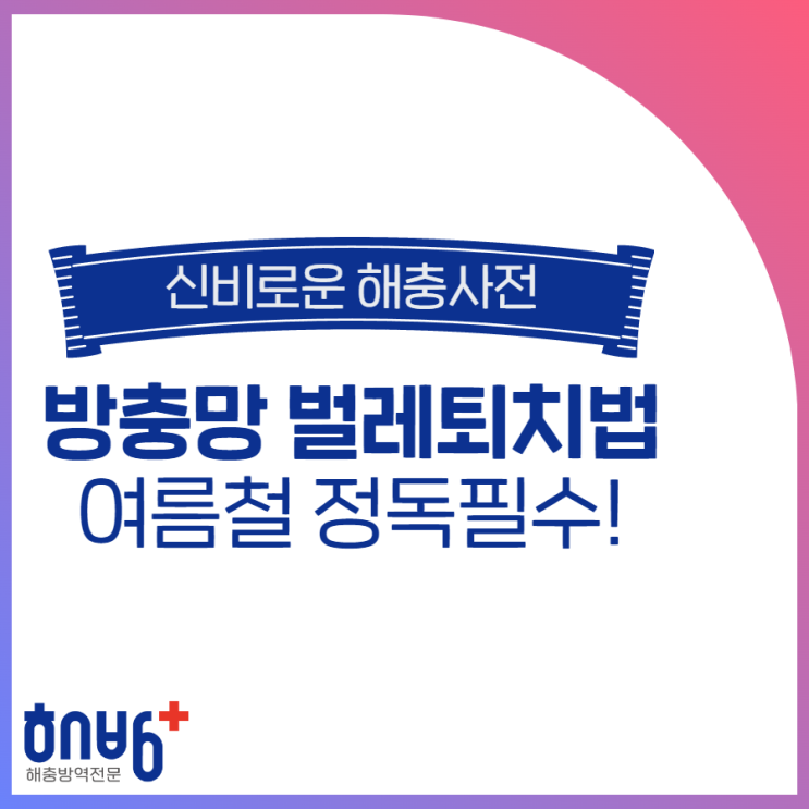  다가올 여름철 방충망 벌레 퇴치 방법 꿀팁!