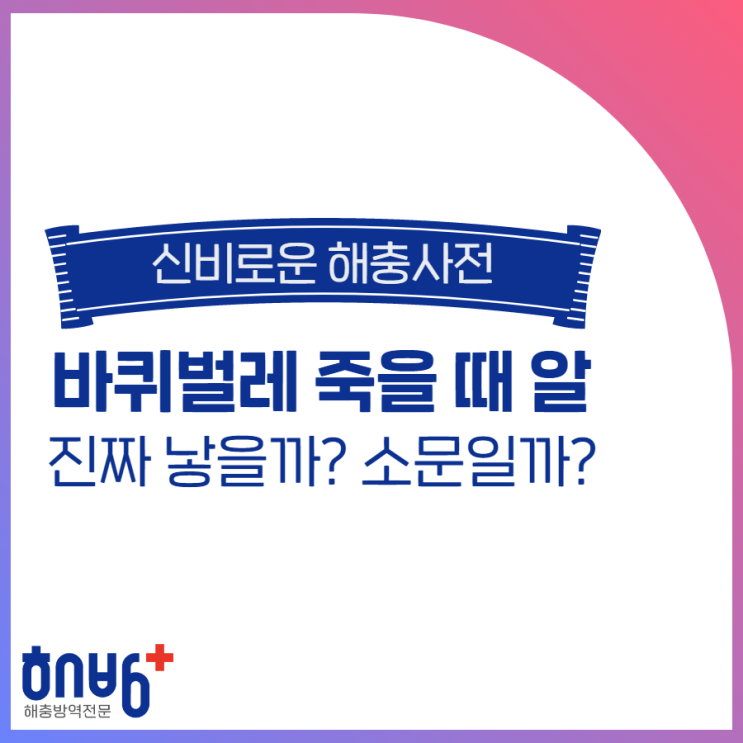  바퀴벌레는 죽을 때 알을 낳는다고요?