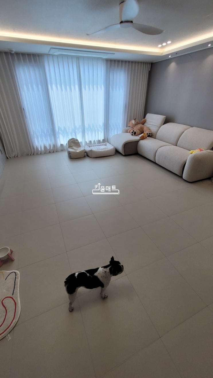 <b>키움</b>매트- 구미송정범양레우스센트럴<b>포레</b> 아파트 강아지매트... 