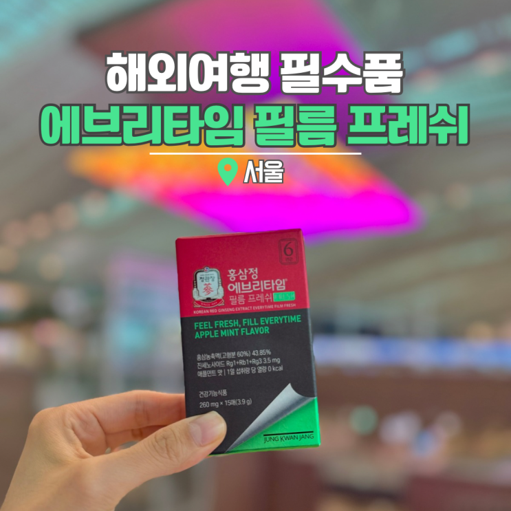  해외여행 준비물 리스트 에브리타임 필름 해외여행 필수품