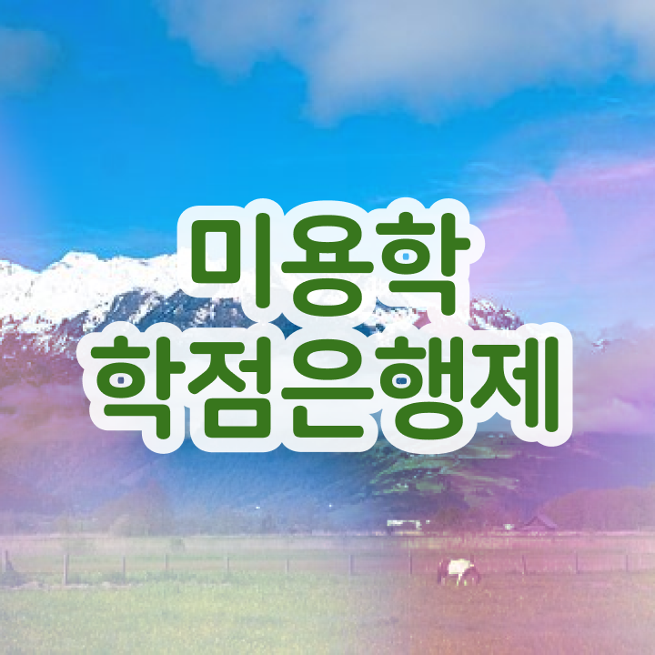  헤어디자이너 자격증 , 미용면허증 간단하게 취득한 과정