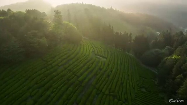  병원코디네이터자격증온라인 , 병원코디네이터 자격증 응시자격 없이 취득한 방법 핵심 정보 정리