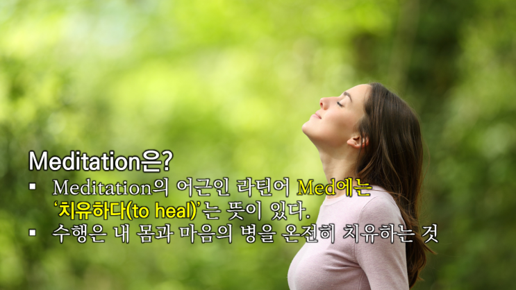  일본 오사카 삼인삼색 한국통신사 유람기 #3