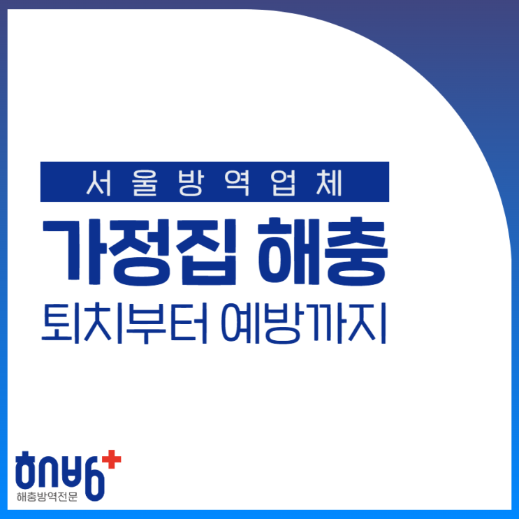  서울방역업체 가정집 해충, 퇴치부터 예방까지