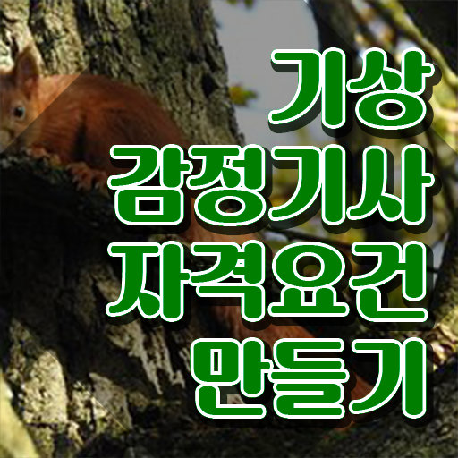  기상감정기사 필기 합격기준 기상감정기사 응시자격 인강으로 간단하게 완료한 과정