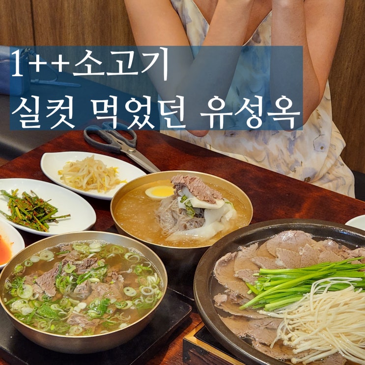  대전 dcc맛집 도룡동 유성옥 곰탕