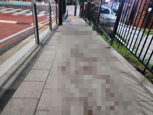 경찰, '<b>일본도</b> 살인사건' <b>피의자</b> 구속·압수수색영장 신청... 