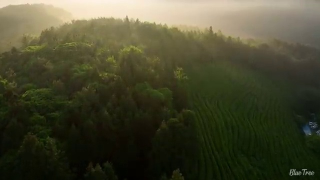  부천 학점은행제 사회복지사 사회복지사2급 조건이 안돼도 학점은행제 인강으로 편하게