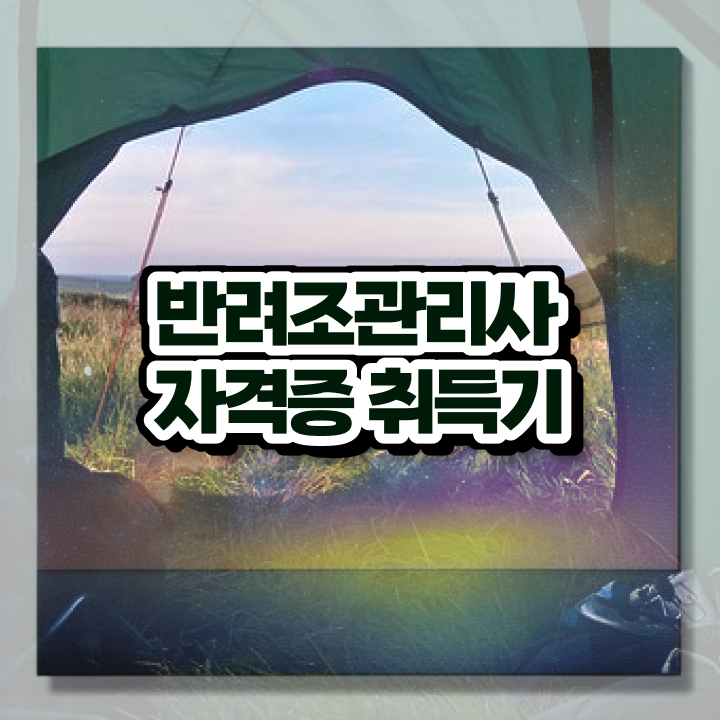  말하는 앵무새 가격 , 반려조관리사 자격증 온라인으로 쉽게 취득한 과정 , 활용 방법