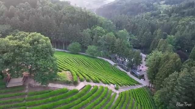  반영구화장 교육 , 반영구학원 오픈 시작할 때 합격해야 하는 조건들