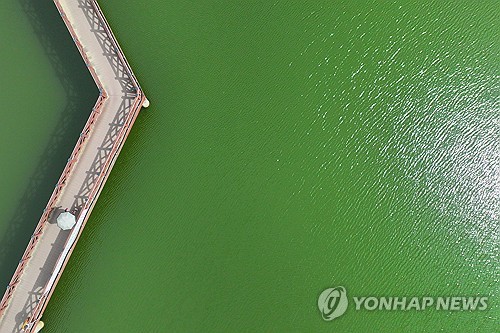 12일째 <b>폭염</b>특보' 광주·전남 <b>온열질환</b>·가축 폐사 <b>속출</b>