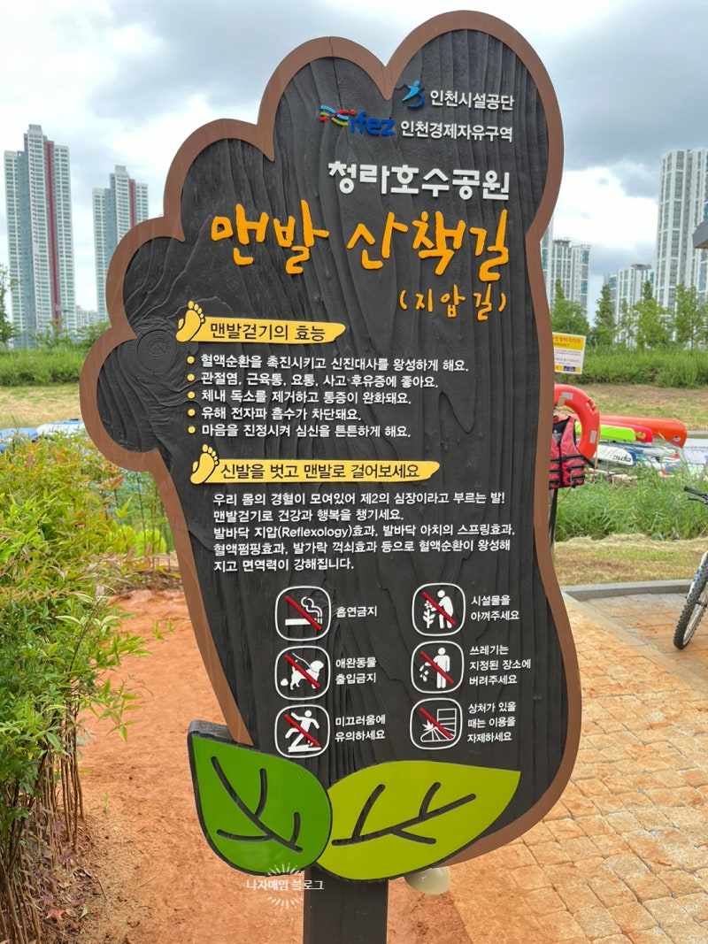 사진 6