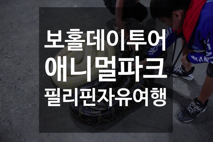  필리핀 보홀 가족여행 코스 추천 동물원 애니멀파크 animal park