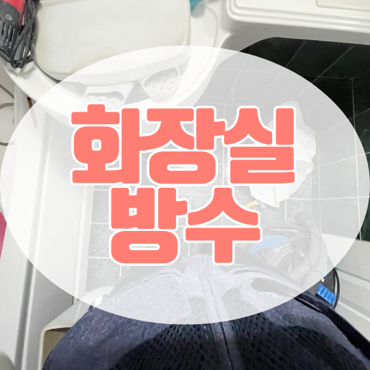  동탄 병점 화장실 방수ㅣ아파트 주방 작은방 천장 벽면 도배지 물자국 곰팡이 증상